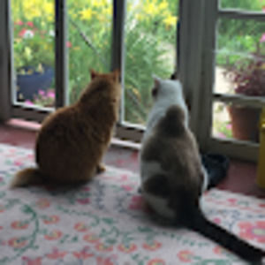 Meet your Posher, Violet